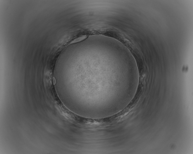 X0000093260772200709261731