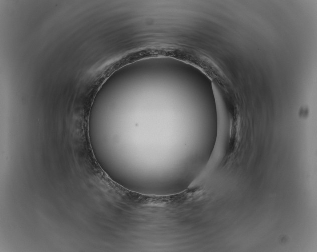 X0000093260773200709261731