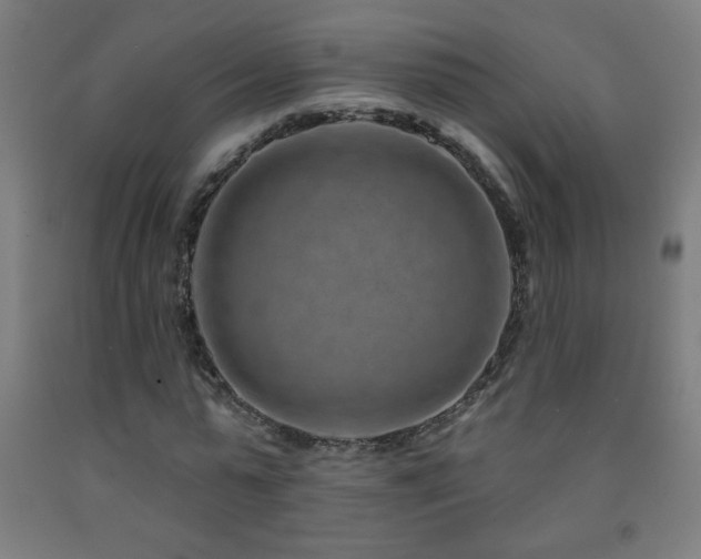 X0000093260775200709261731