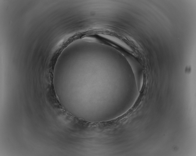 X0000093260776200709261731