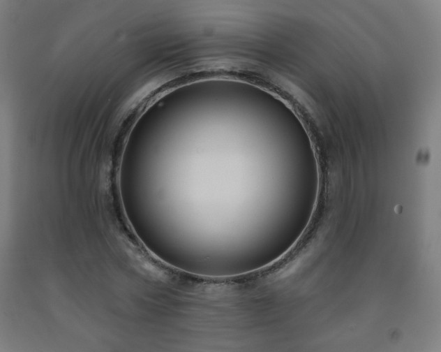 X0000093260778200709261731