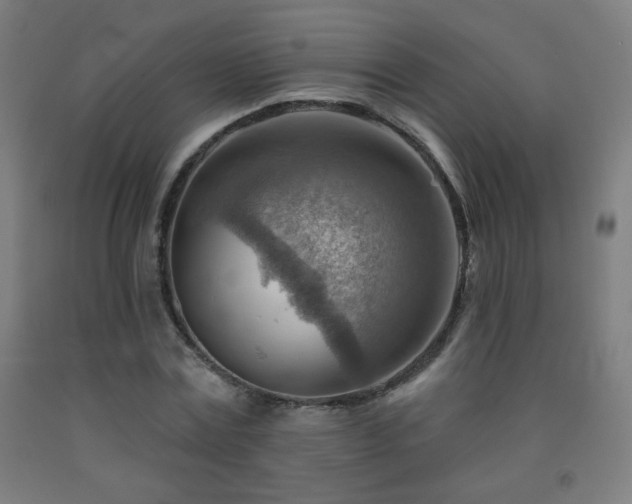X0000093260779200709261731