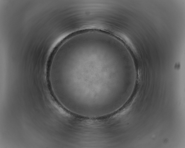 X0000093260780200709261731