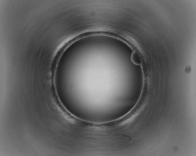 X0000093260781200709261731