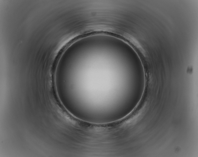 X0000093260782200709261731