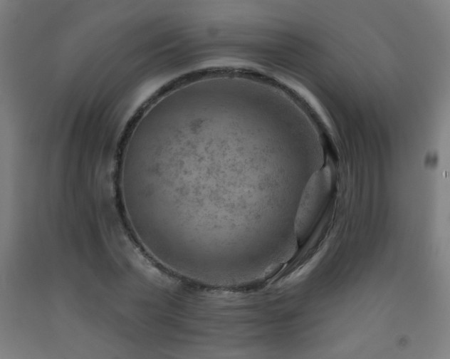 X0000093260783200709261731