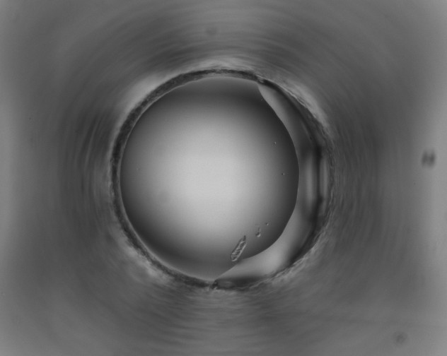 X0000093260784200709261731