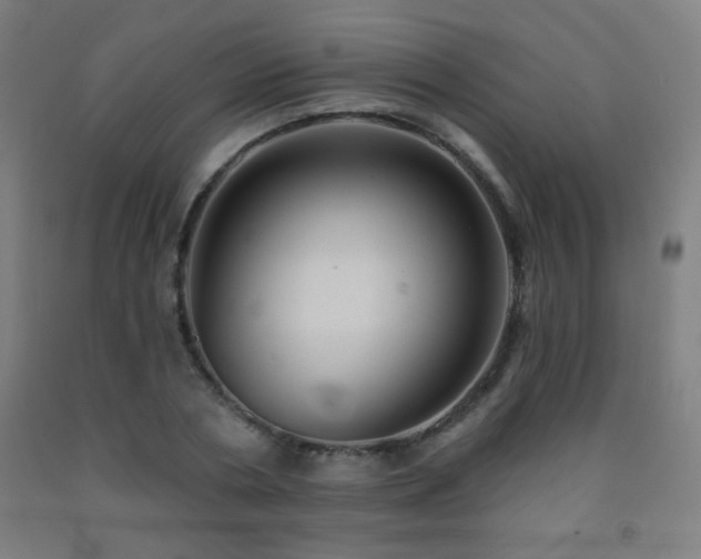 X0000093260786200709261731