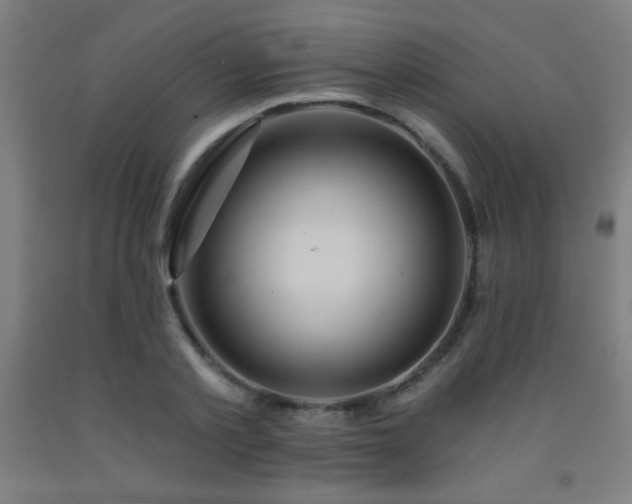 X0000093260789200709261730