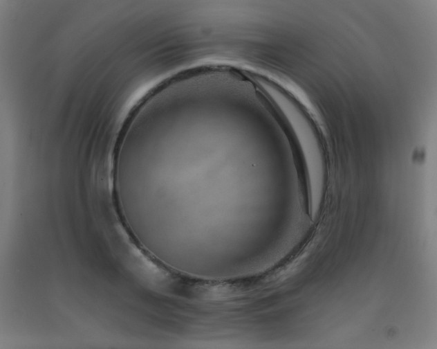 X0000093260791200709261730
