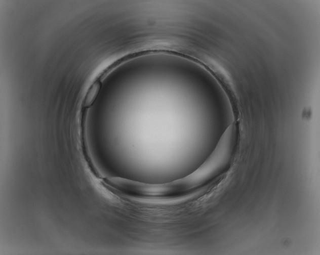 X0000093260792200709261730