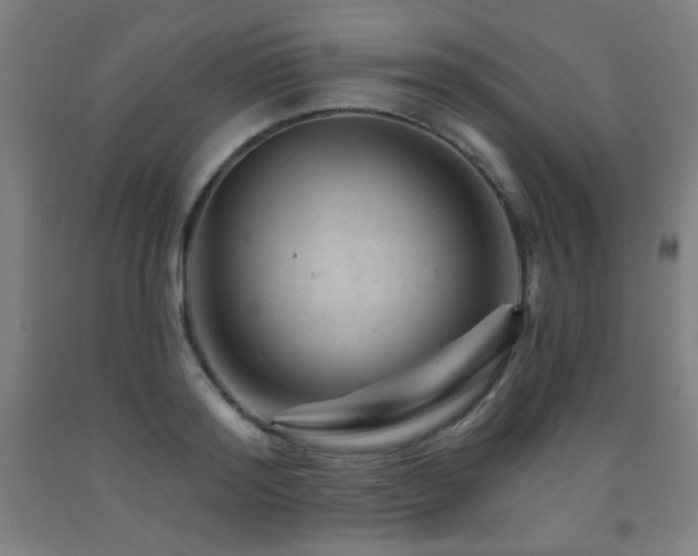 X0000093260796200709261730