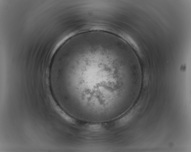 X0000093260798200709261730