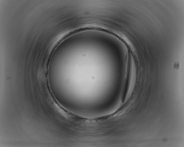 X0000093260799200709261730