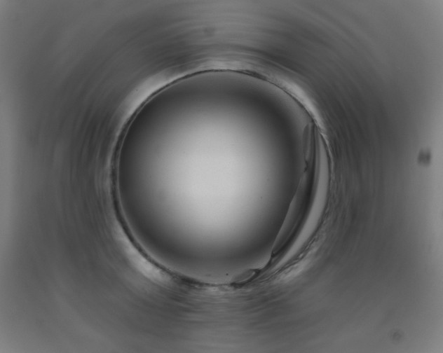 X0000093260803200709261730