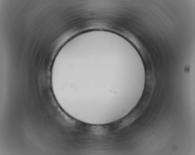X0000093260807200709261730