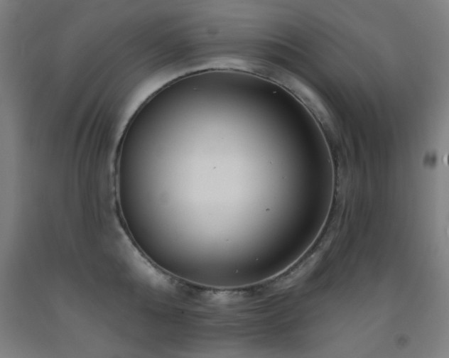 X0000093260808200709261730