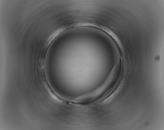 X0000093260809200709261730