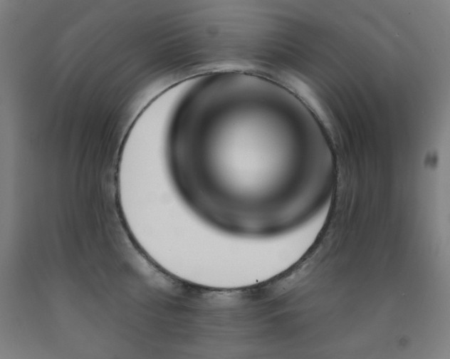 X0000093260810200709261730
