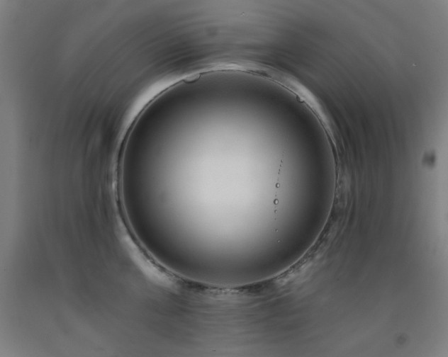 X0000093260811200709261730