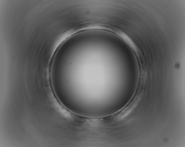 X0000093260813200709261730