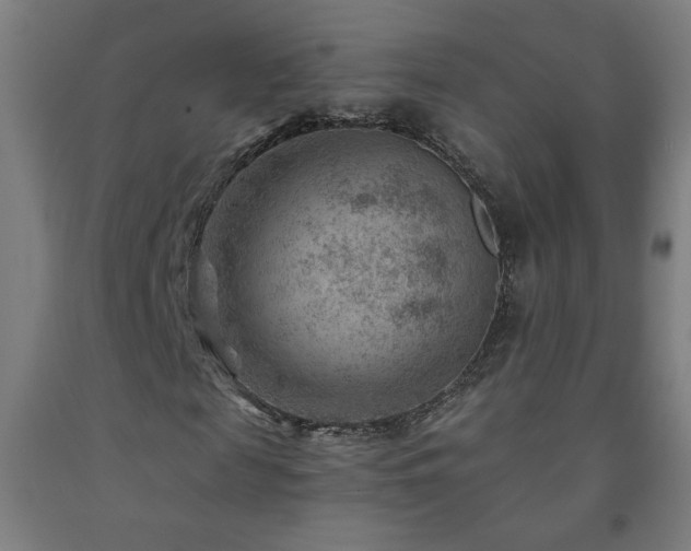 X0000093260817200709261730