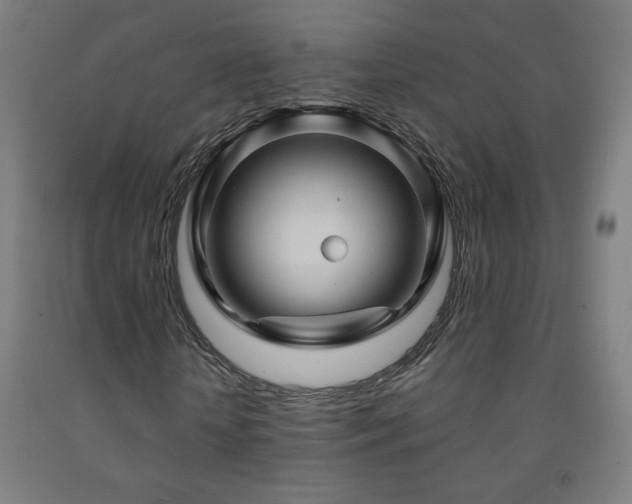 X0000093260818200709261730
