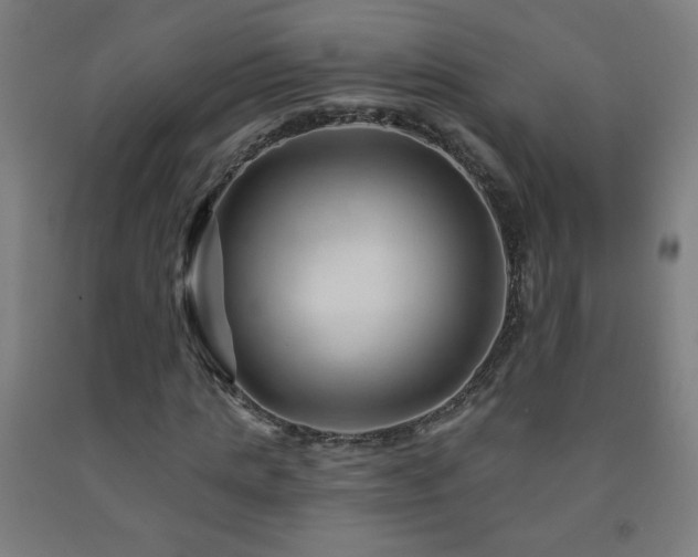 X0000093260821200709261730