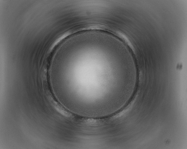 X0000093260827200709261730