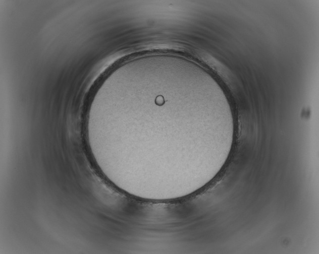 X0000093260828200709261730