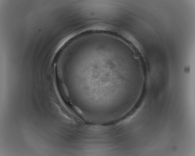 X0000093260829200709261730