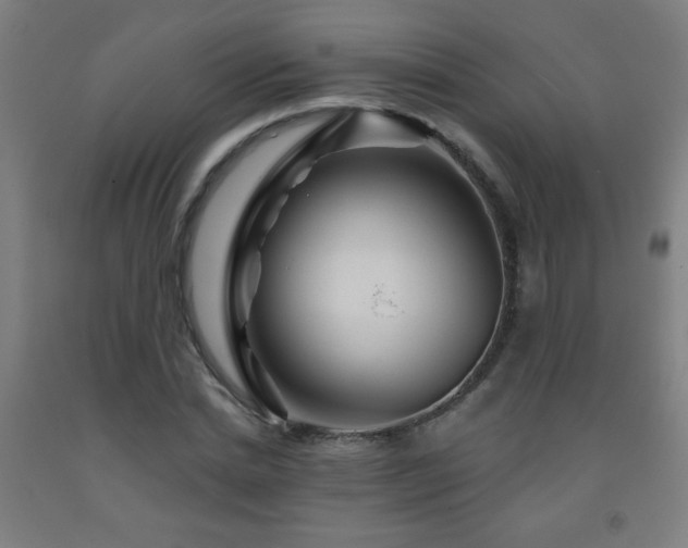 X0000093260830200709261730