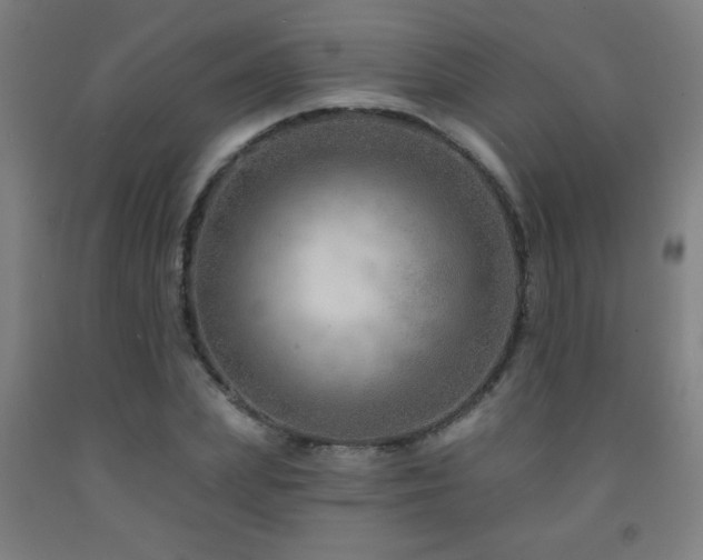 X0000093260831200709261730