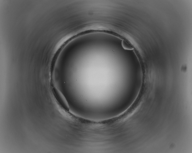 X0000093260837200709261730