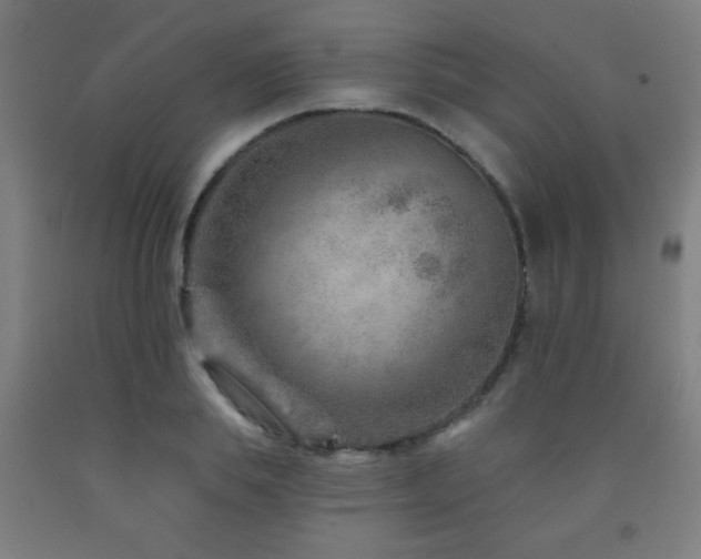X0000093260839200709261730