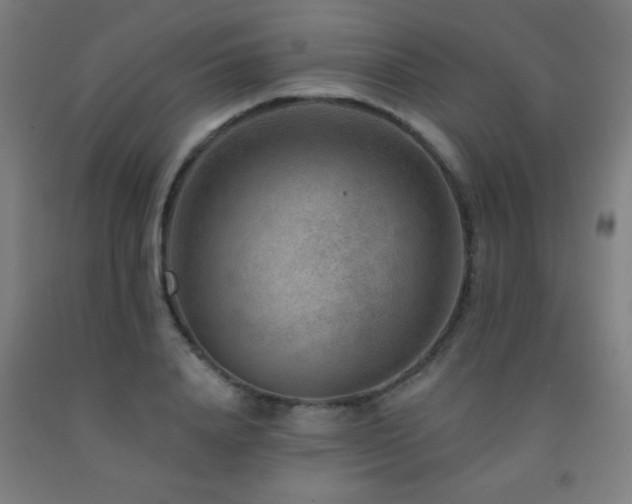 X0000093260840200709261730