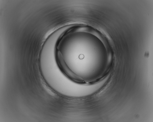 X0000093260842200709261730