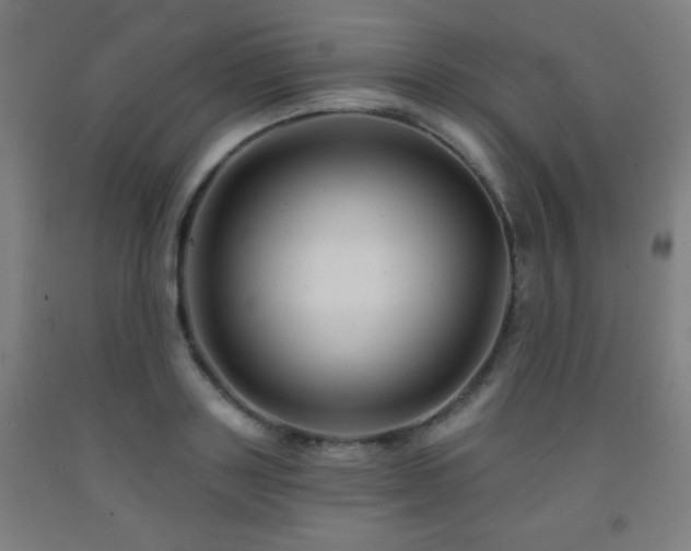 X0000093260843200709261730