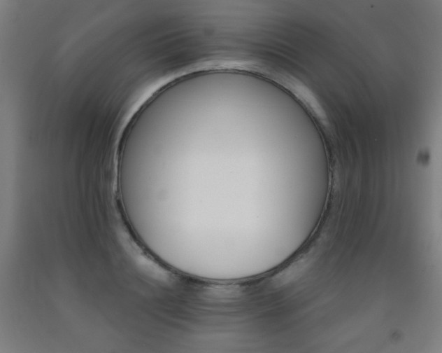 X0000093260844200709261730