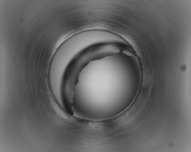 X0000093260850200709261730