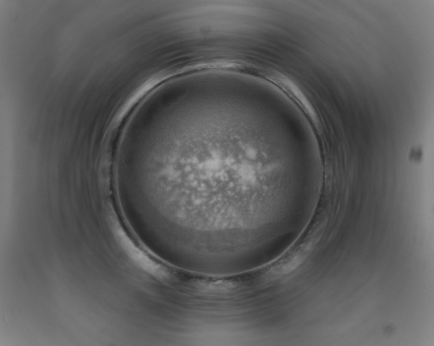 X0000093260851200709261730