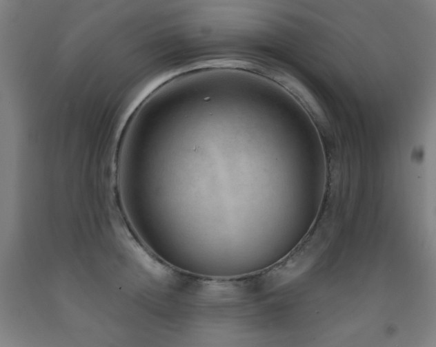X0000093260852200709261730