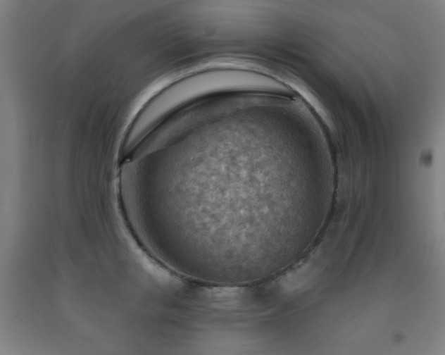 X0000093260853200709261730