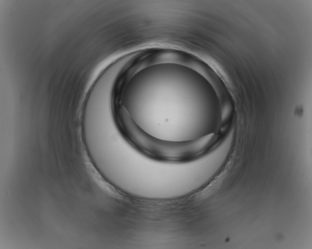X0000093260854200709261730