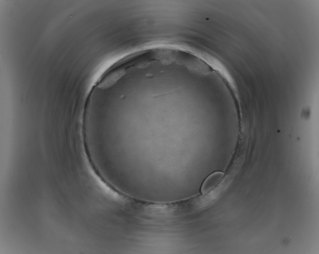 X0000093260855200709261730