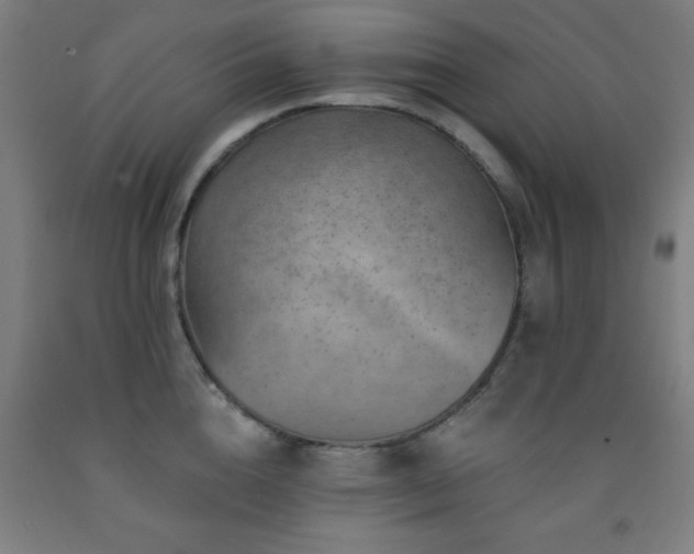 X0000093260856200709261730
