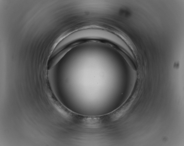 X0000093260858200709261730