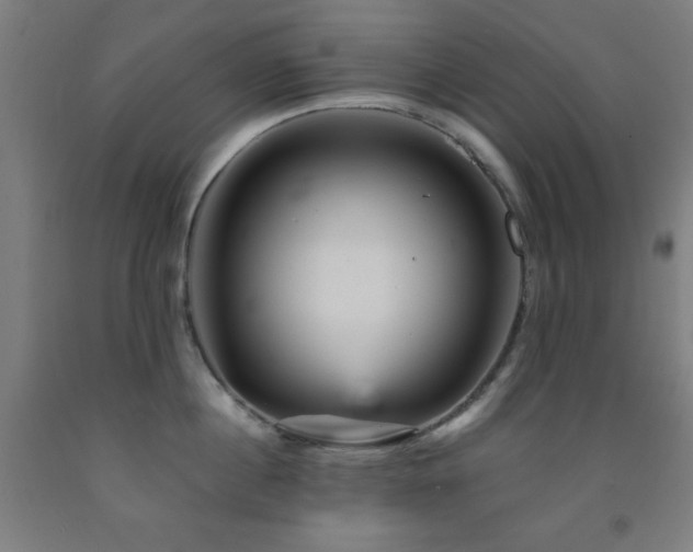 X0000093260860200709261730