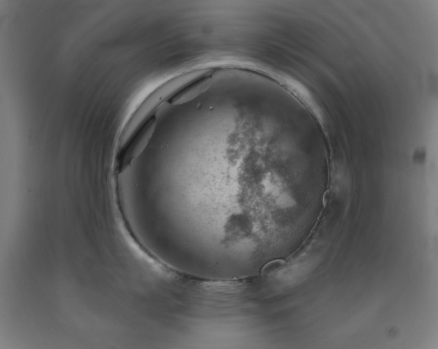 X0000093260863200709261730