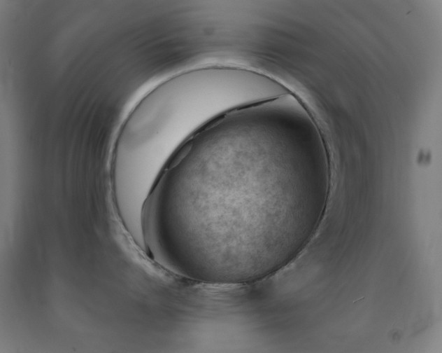 X0000093260864200709261730